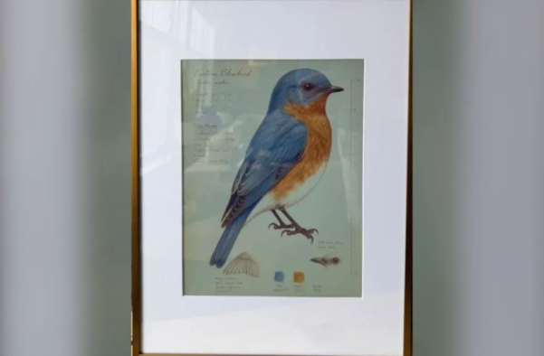 Tech enthusiasts have created a Raspberry Pi e-ink photo frame that displays a real-time bird atlas