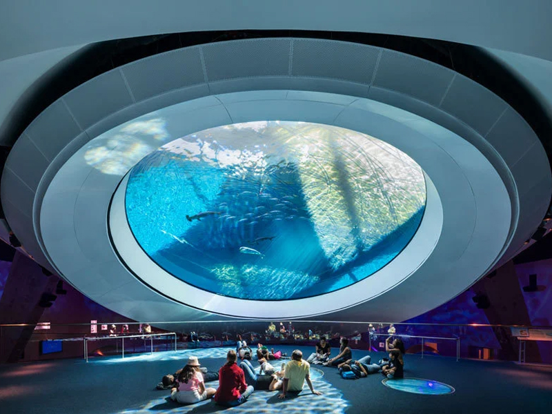 Enchanting Entertainment: Spherical LED Screens Elevating Live Performances