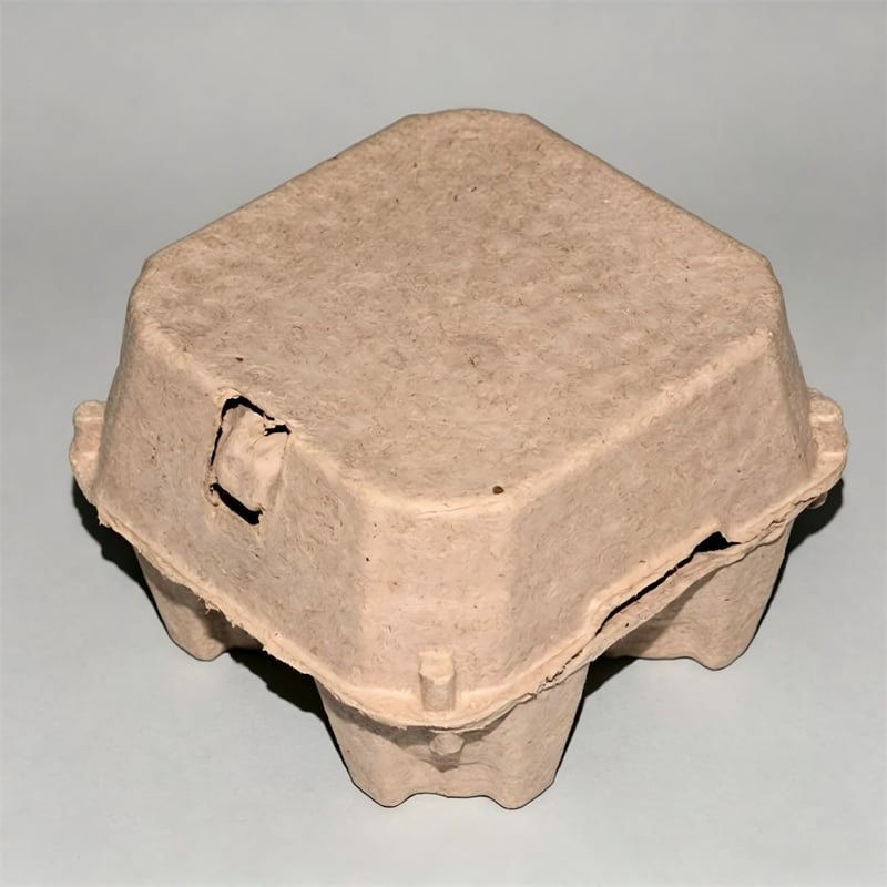 4-Cavity Dry-Pressed Pulp Egg Carton