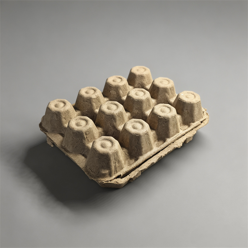 Biodegradable Egg Packaging for Grocery Chains & Wholesalers