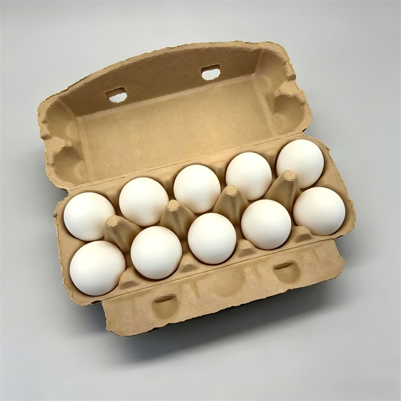 Eco Friendly 2x6 Long Egg Carton Dry Pressed Packaging