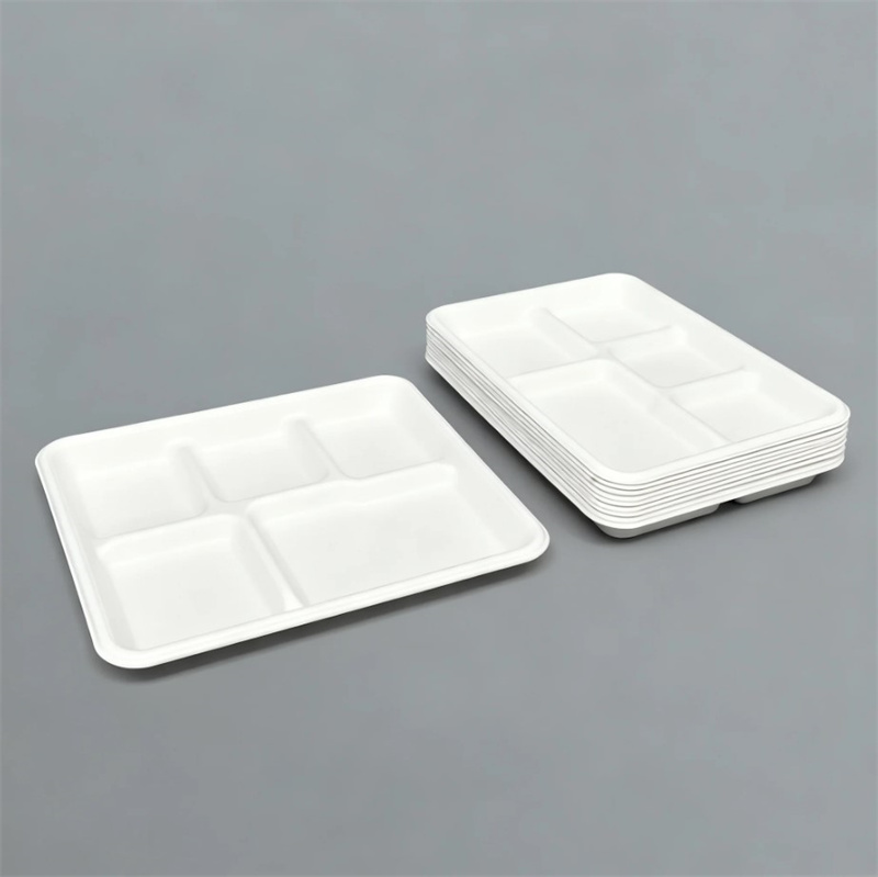 Eco-Friendly Wet-Pressed Paper Pulp 5-Compartment Tray
