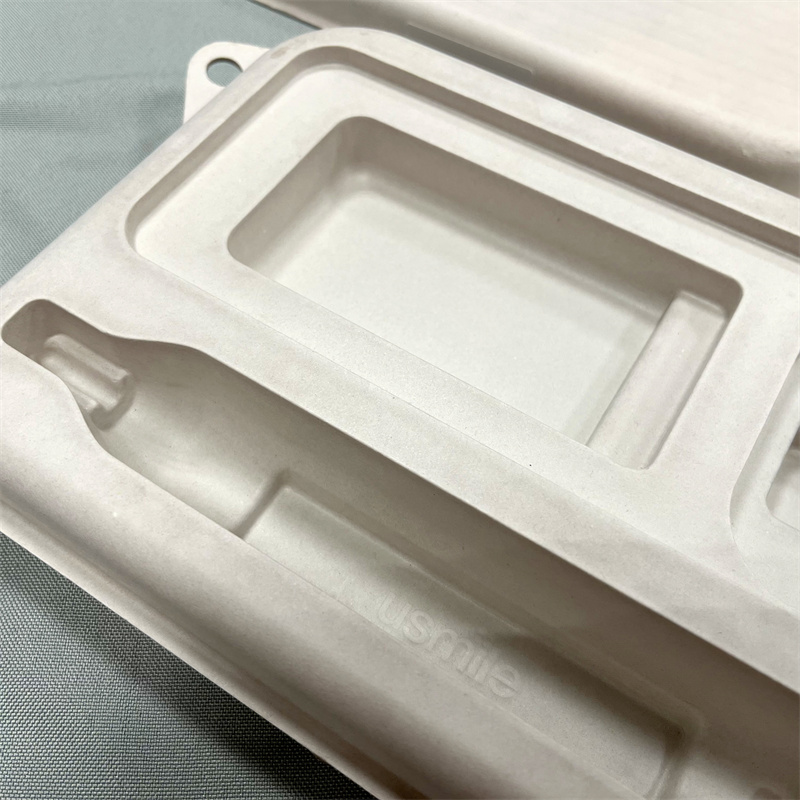 Eco-Friendly Molded Pulp Packaging for Electronic Toothbrush