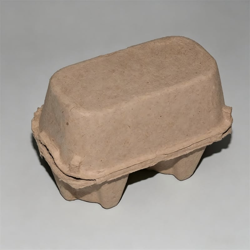 Mini Biodegradable 2-Egg Holder Carton