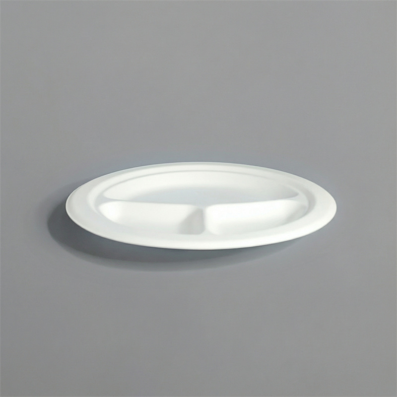 Compostable 3-Compartment Molded Fiber Plate 10 Inch