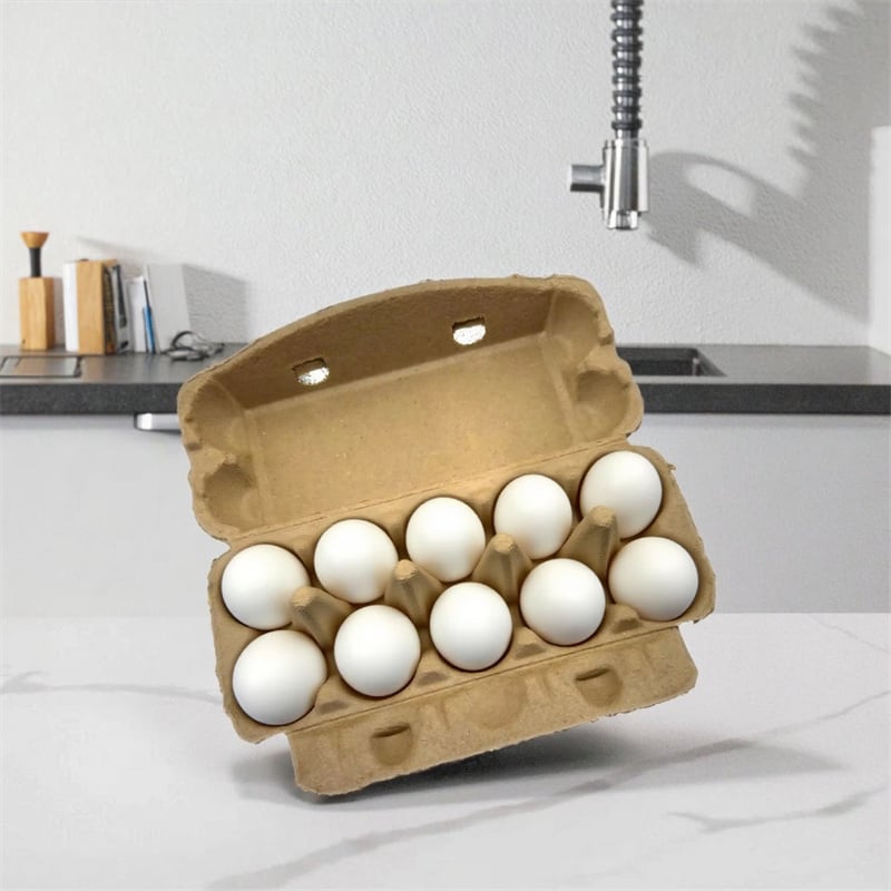 Eco Friendly 2x6 Long Egg Carton Dry Pressed Packaging