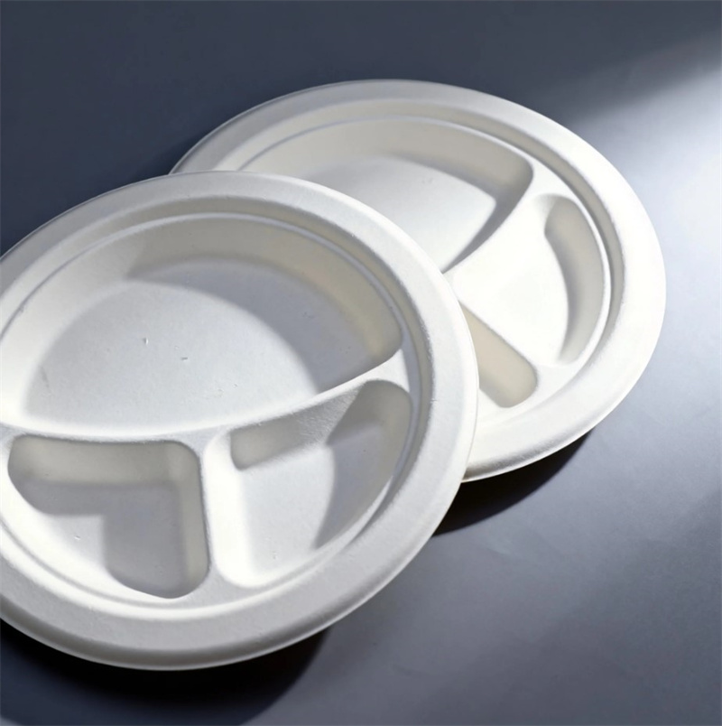 Compostable 3-Compartment Molded Fiber Plate 10 Inch