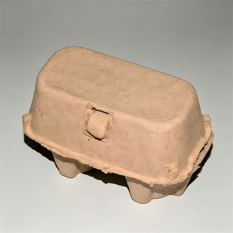 Mini Biodegradable 2-Egg Holder Carton