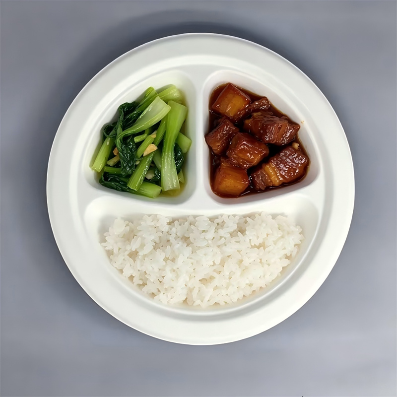 Compostable 3-Compartment Molded Fiber Plate 10 Inch