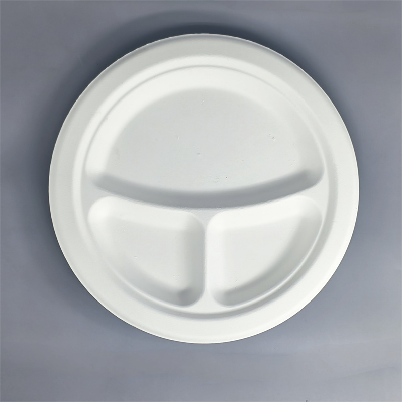 Compostable 3-Compartment Molded Fiber Plate 10 Inch