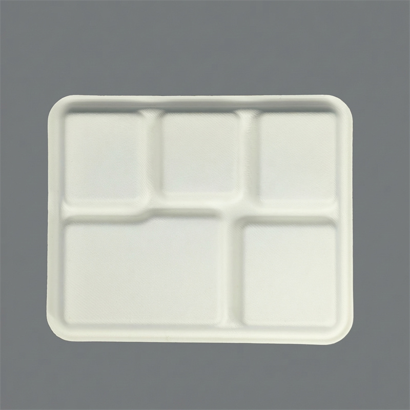 Eco-Friendly Wet-Pressed Paper Pulp 5-Compartment Tray