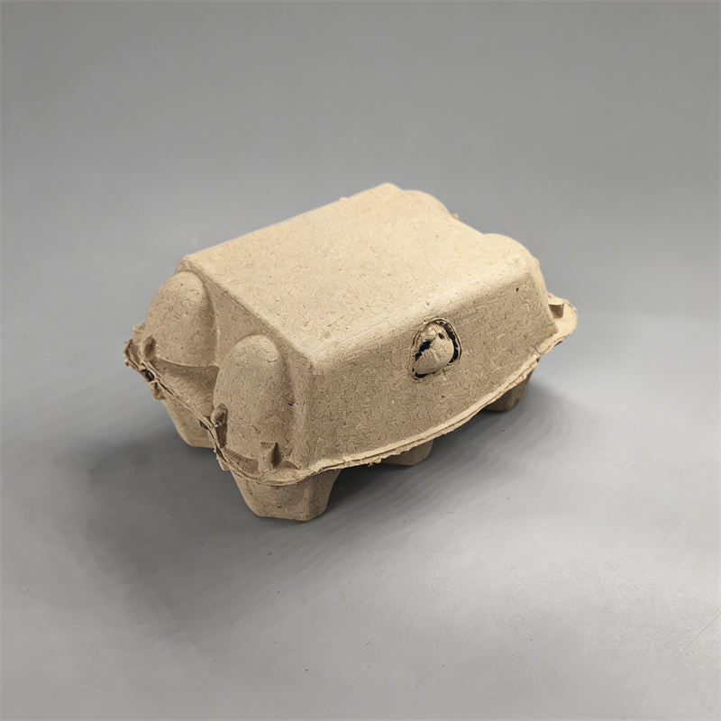 Eco Friendly Biodegradable Egg Container for Farms & Farmers Markets