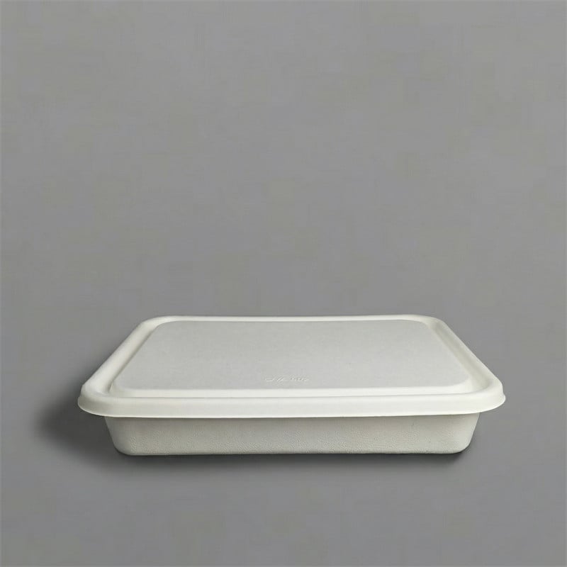 4-Compartment Molded Pulp Lunch Box with Lid