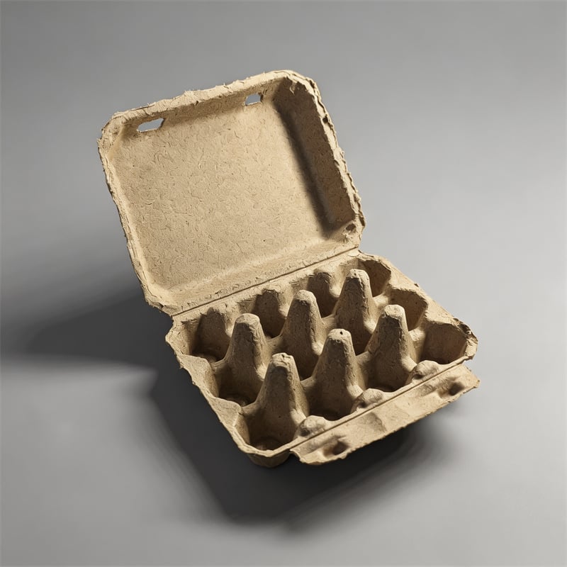 Biodegradable Egg Packaging for Grocery Chains & Wholesalers