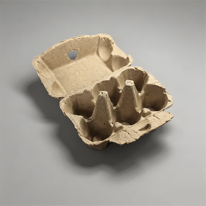 Eco Friendly Biodegradable Egg Container for Farms & Farmers Markets