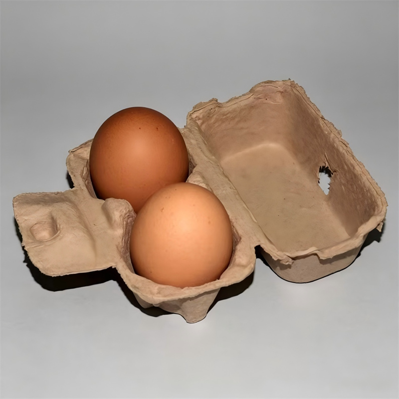 Mini Biodegradable 2-Egg Holder Carton