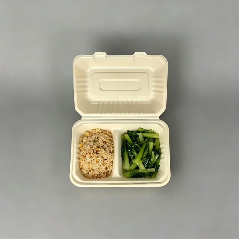 Rectangular MoldedPulp 2-Compartment Clamshell Lunch Box