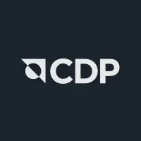 CDP (2).jpg