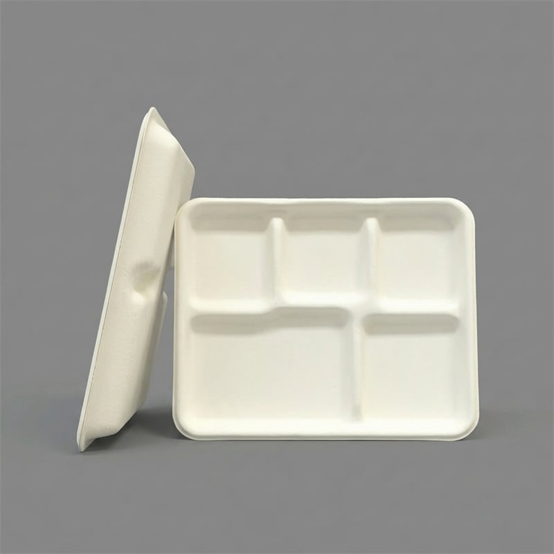 Eco-Friendly Wet-Pressed Paper Pulp 5-Compartment Tray