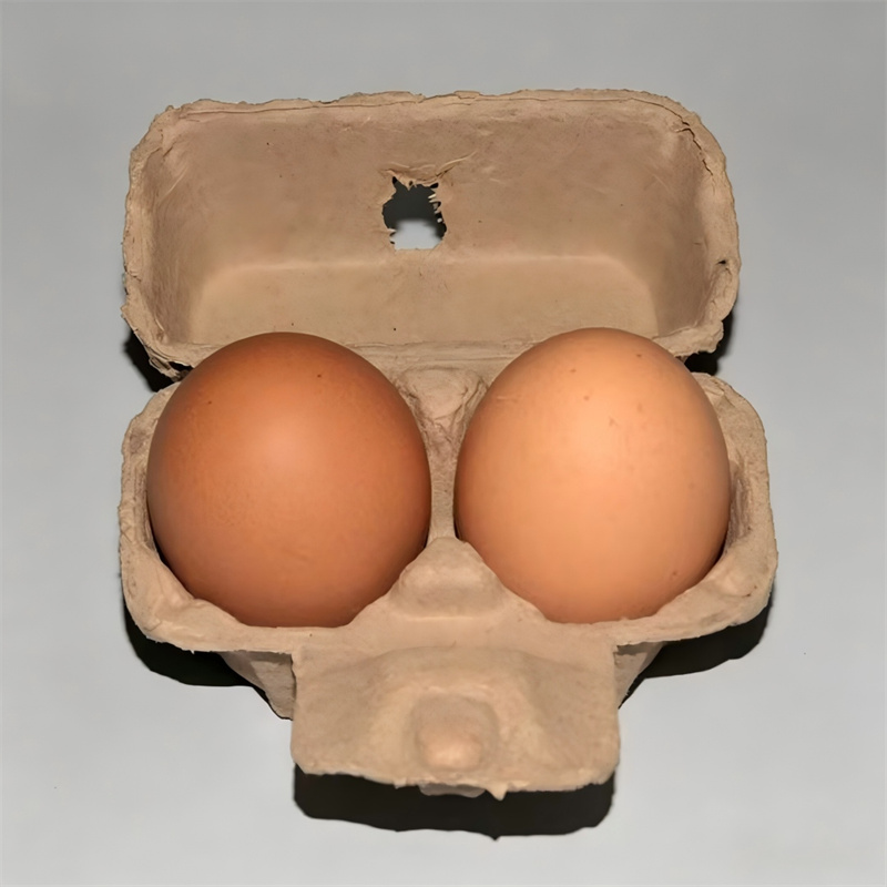 Mini Biodegradable 2-Egg Holder Carton