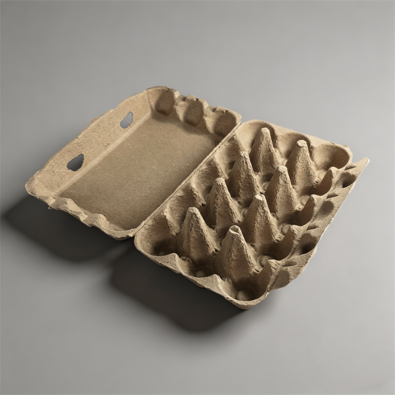 Eco Friendly Biodegradable Egg Packaging for Retail & E-Commerce