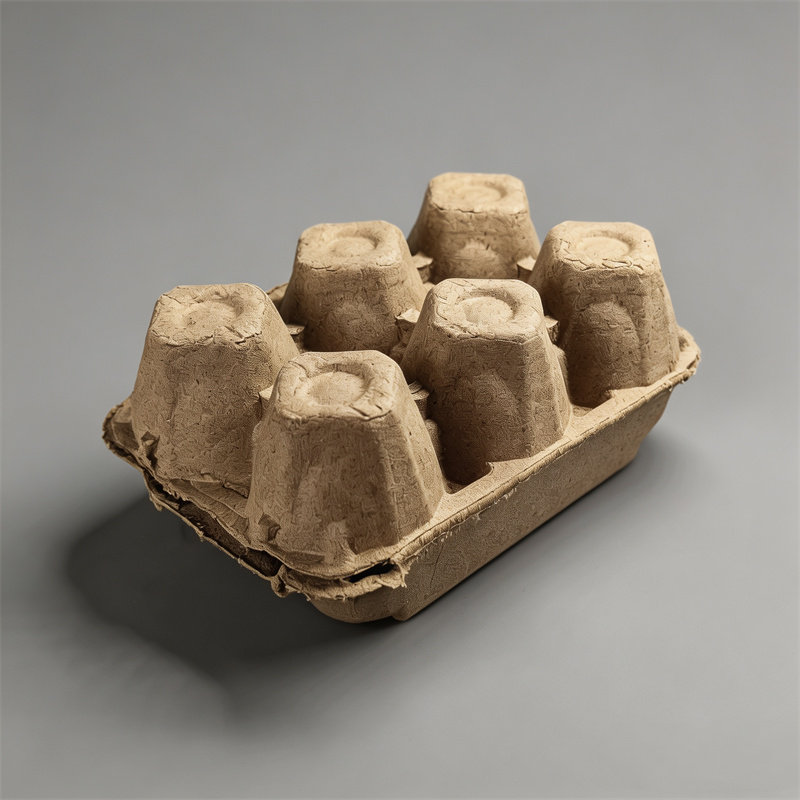 Eco Friendly Biodegradable Egg Container for Farms & Farmers Markets