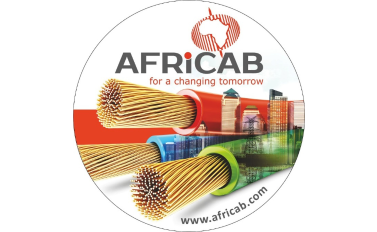 Africab Qrupu – Elektrik infrastrukturuna dair tərəfdaşlıq yolu ilə davamlı dəyər yaratmaq