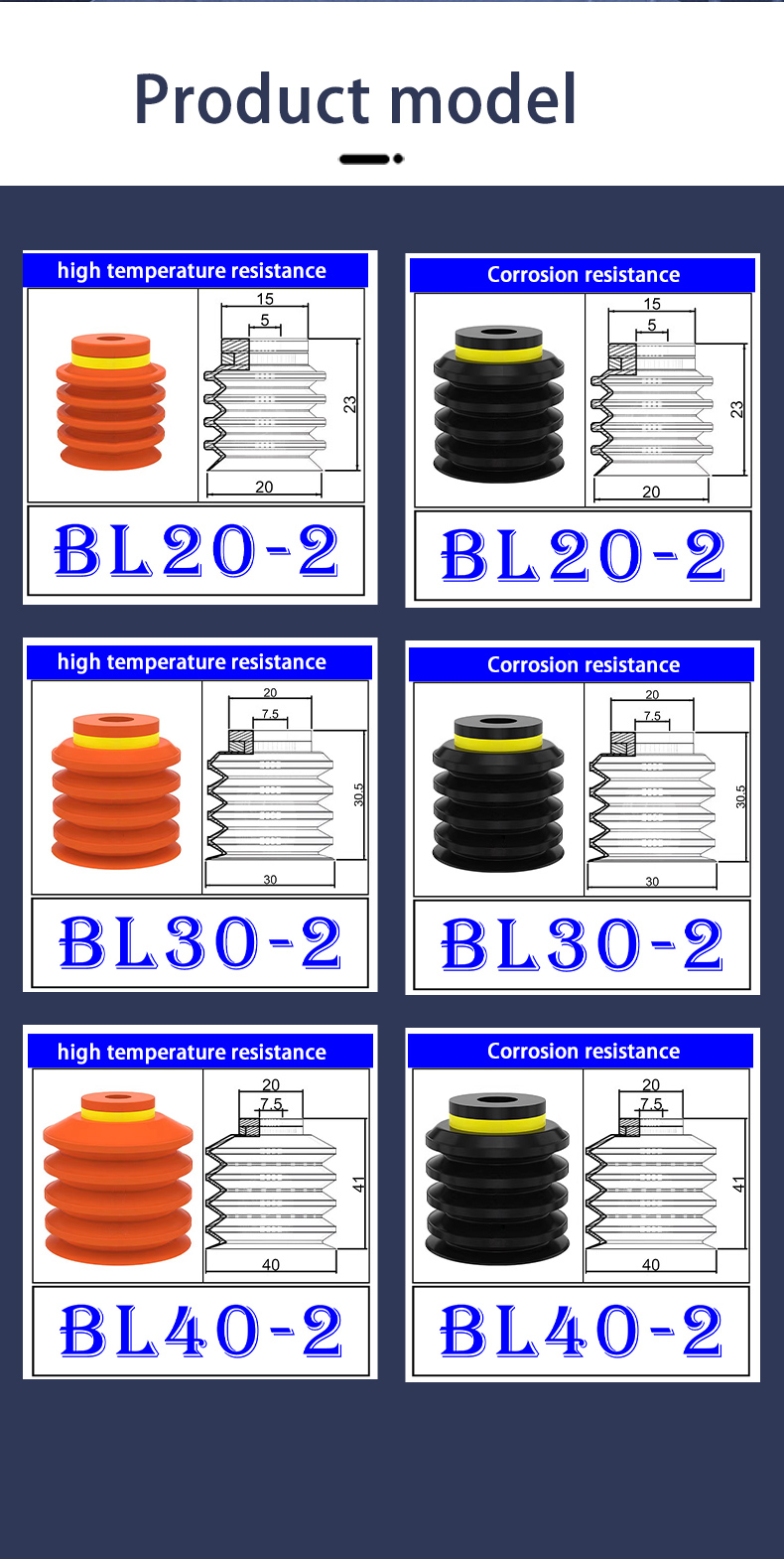 BL_05.jpg