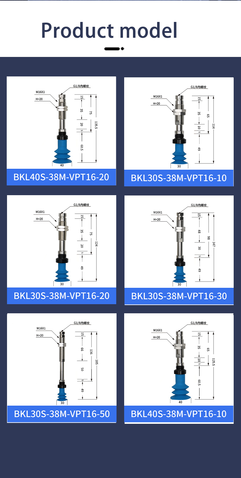 bkl_05.jpg