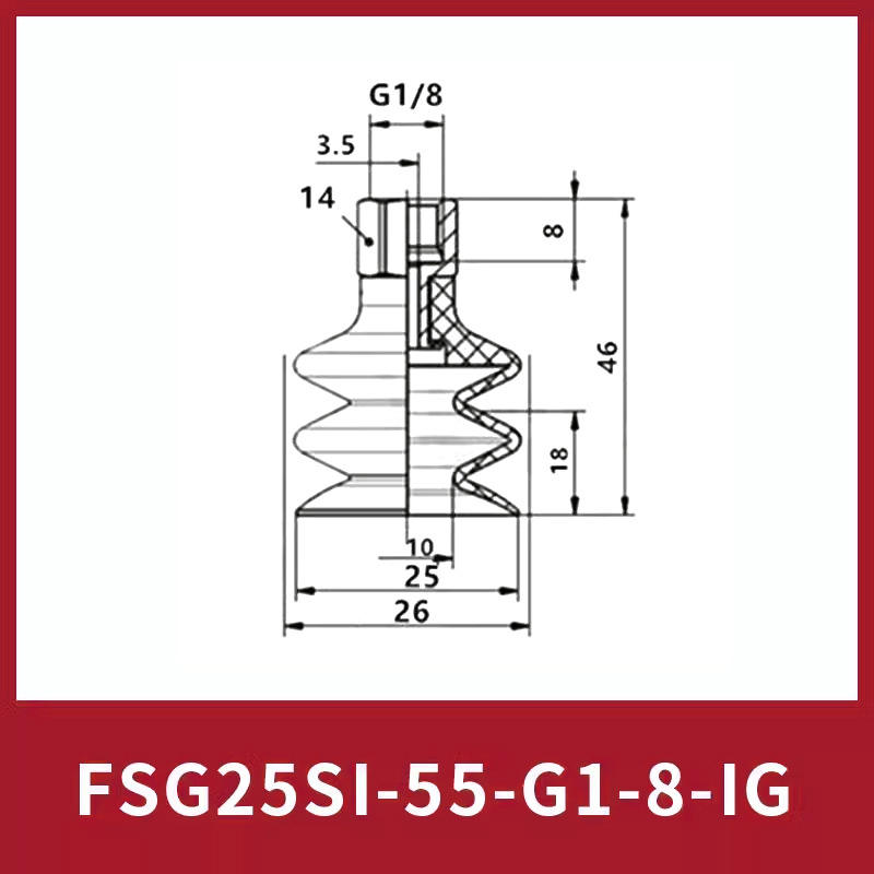 Fsg25si-55-g1/8-ig
