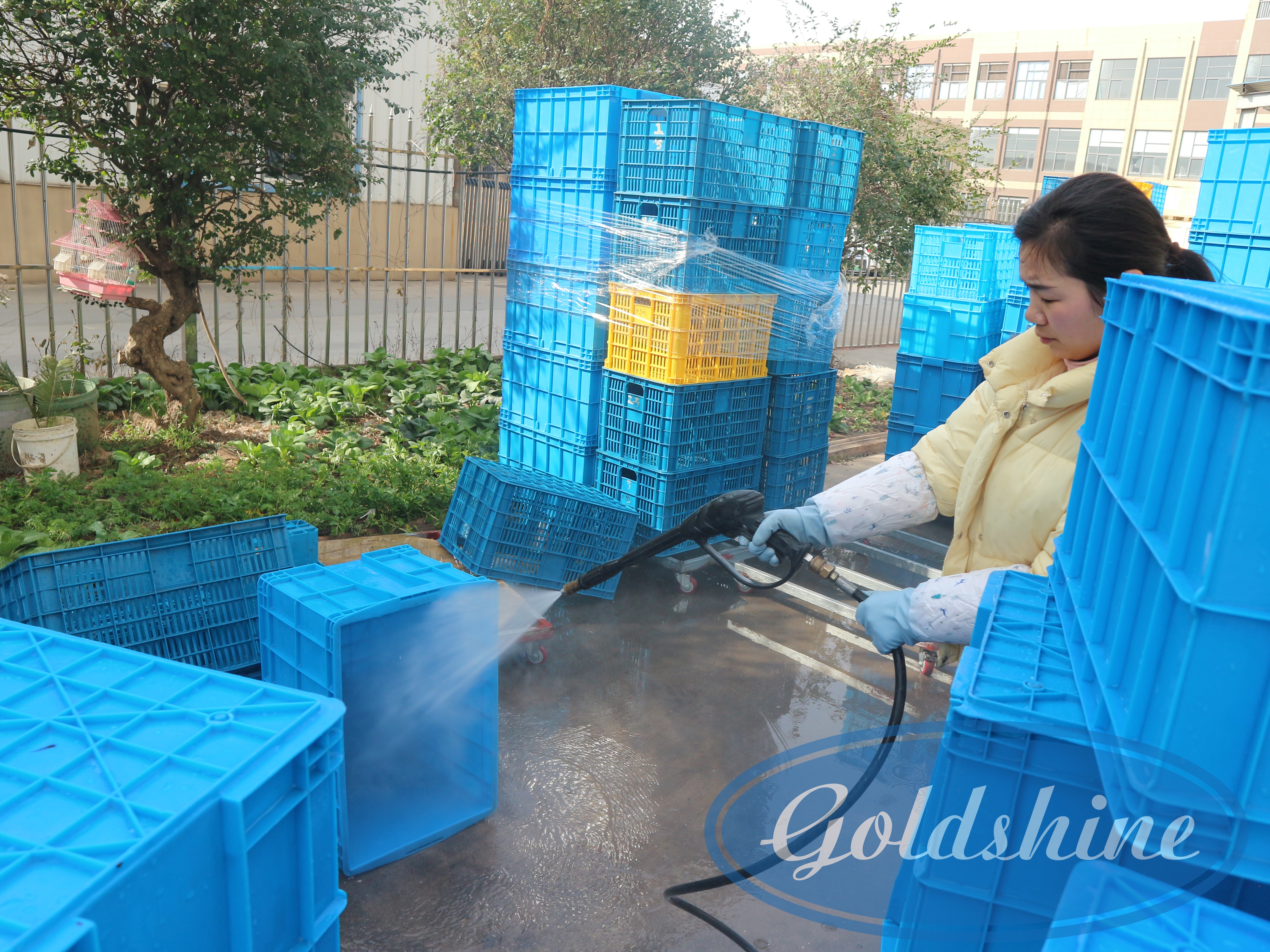 Strengste Bewachung der Reinheitslinie der Alufolienverpackung
