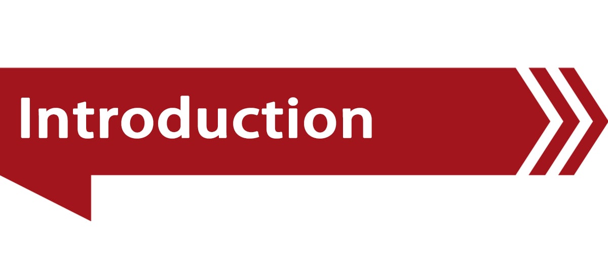 Introduction.jpg