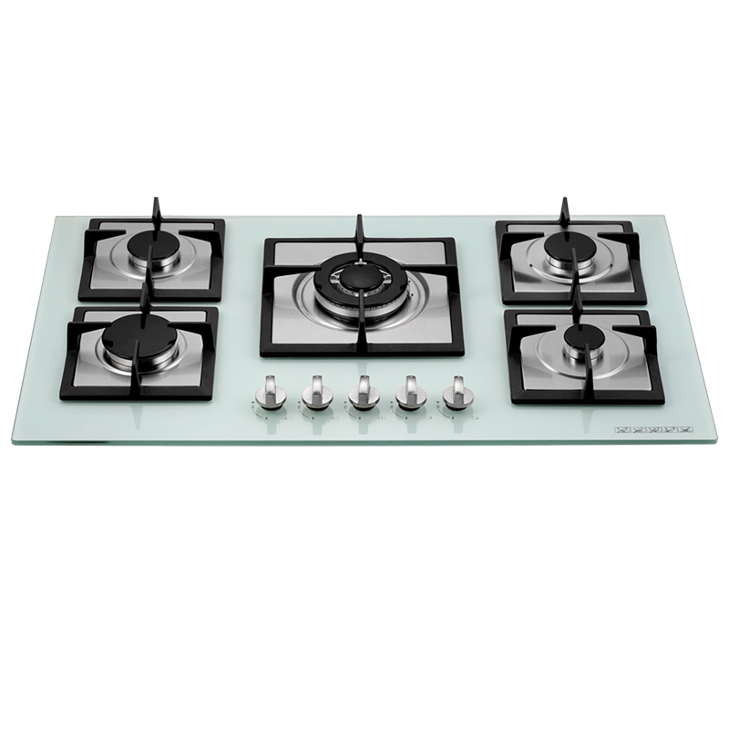Flexible Gas Stove SKD CKD Parts Supply from China with 11 Years of Expertise