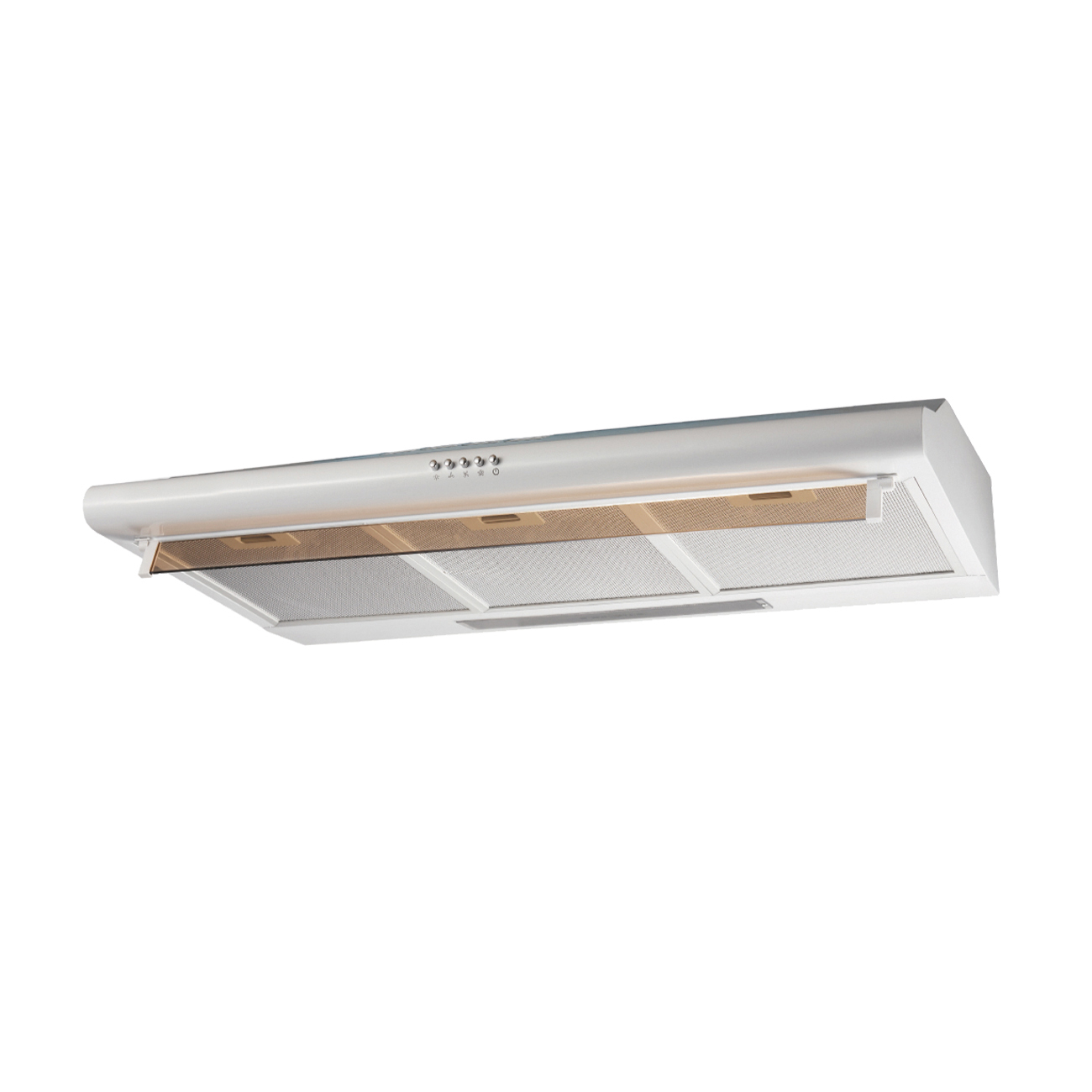 High-Performance Ceiling Mount Range Hoods for Professional and Residential Kitchens