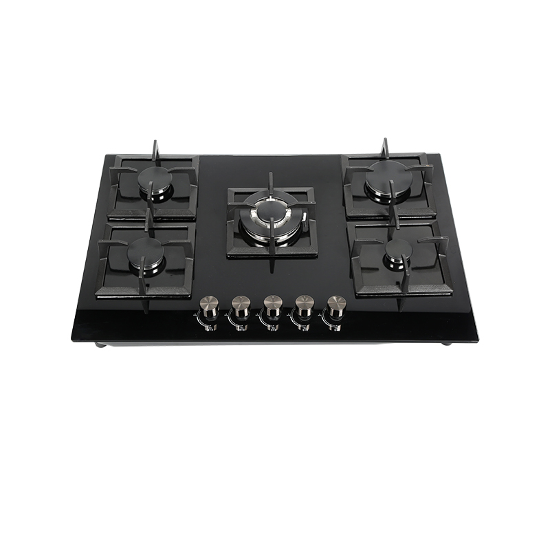 Advanced Burner Technology for Efficient Cooking