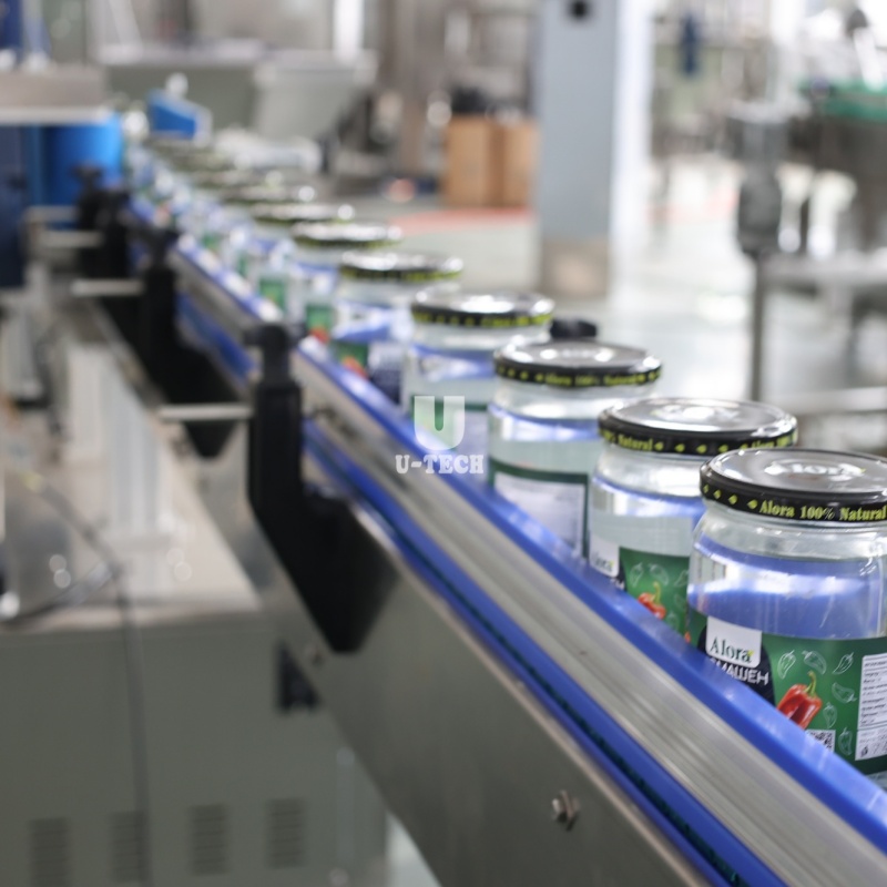 Common Issues Faced with Chutney Filling Machines and How to Resolve Them