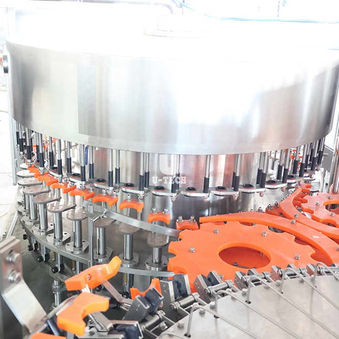 What Factors Influence the Cost of a Mineral Water Bottle Plant?