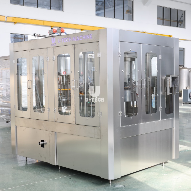 How to Choose the Right Mango Pulp Filling Machine for Your Business