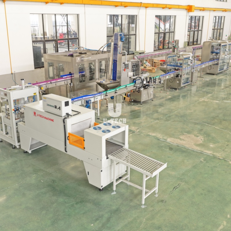 What Are the Key Advantages of Using Piston Pump Filling Machines?