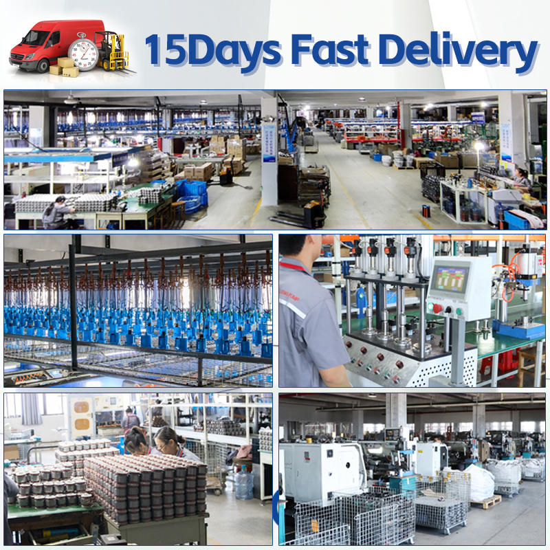 Gas boiler pumps support reliable heat delivery during peak demand