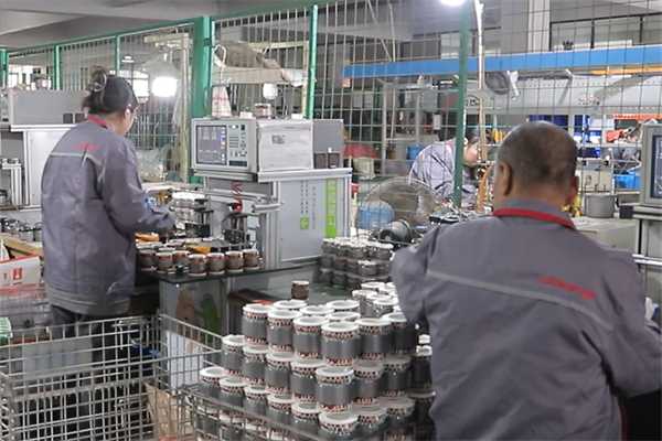 Company Profile Video