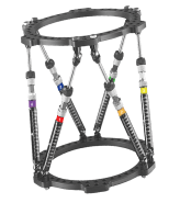 From Children to Adults: An Analysis of the Indications for Taylor Stents for Malformation Correction in All Age Groups