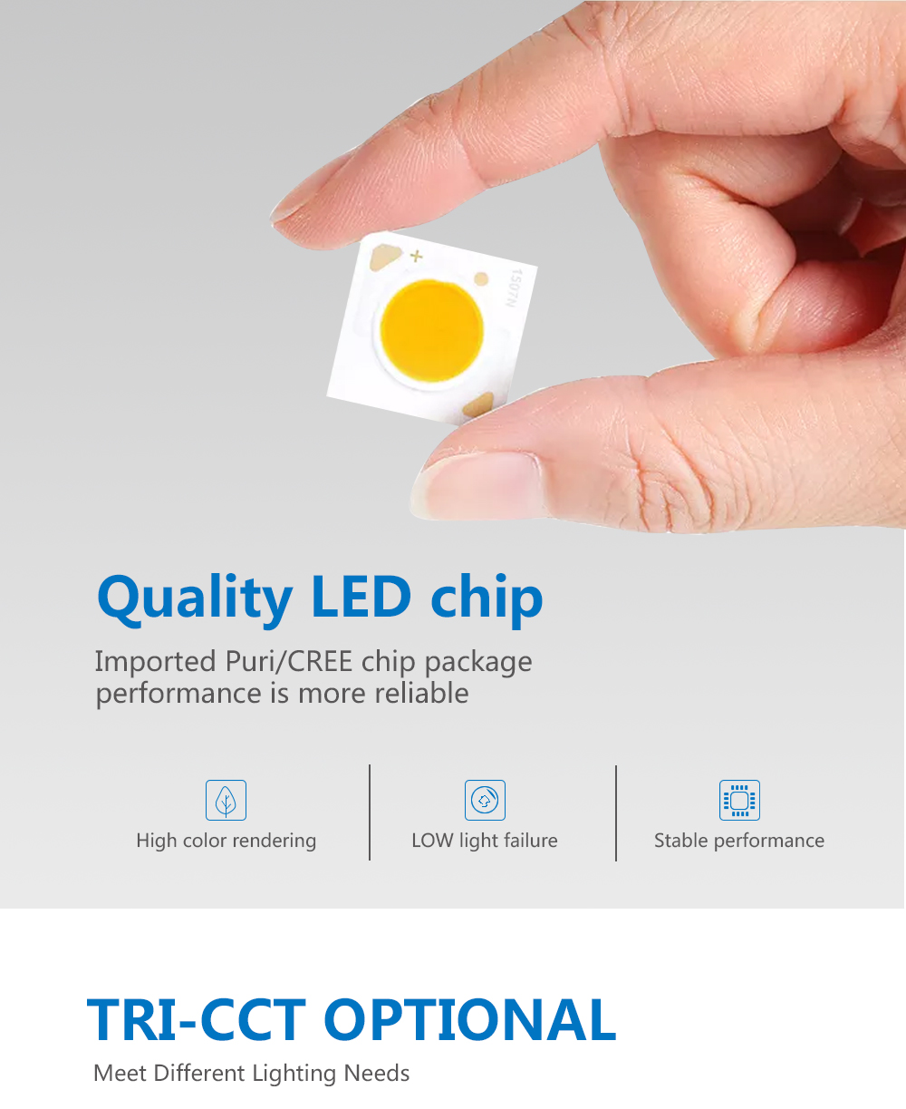 HX-111 LED SPOT LIGHT Indoor Spot Light manufacture