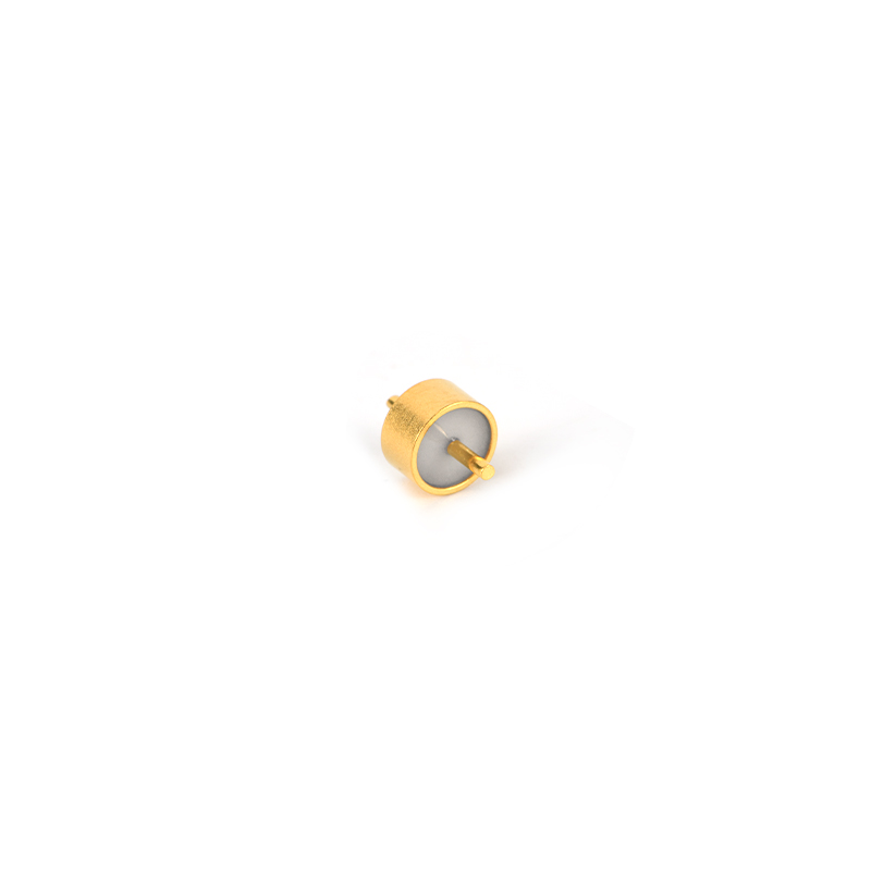 ਛੋਟੀ ਤਸਵੀਰ