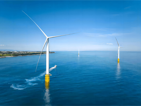 New energy sector