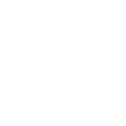 Professional Customization Service