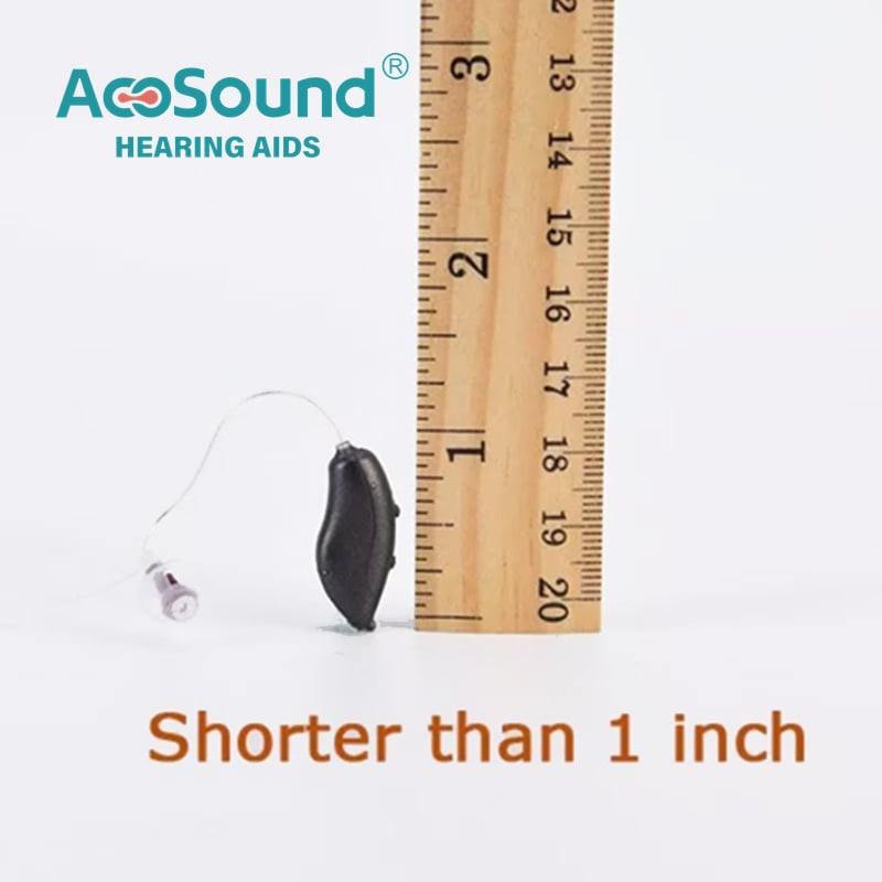 L4-RIC-S 4 Channel RIC Hearing Aid