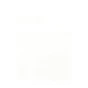 Cigarette Case