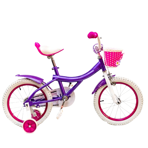 custom bicycle oem factory
