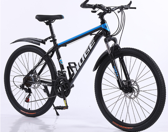 Can a Custom Bicycle OEM Factory Deliver High-Quality Designs?